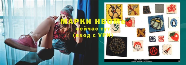 ПСИЛОЦИБИНОВЫЕ ГРИБЫ Алексеевка