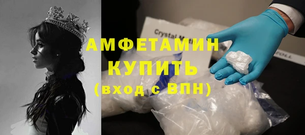 МДПВ Ельня