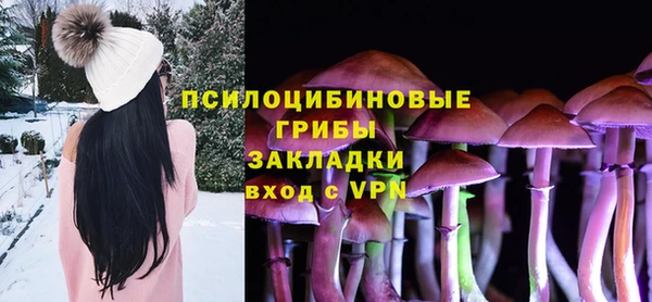ПСИЛОЦИБИНОВЫЕ ГРИБЫ Алексеевка